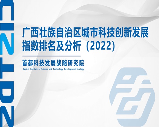 大屌操嫩逼逼网站【成果发布】广西壮族自治区城市科技创新发展指数排名及分析（2022）